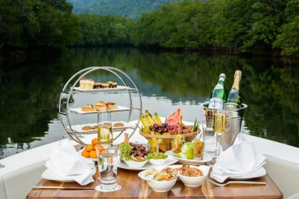 Témoignages de chefs : comment la cuisson douce a transformé leur cuisine